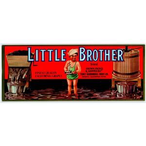 Little Brother Boy Sailboat Fresno California Grapes Crate Label Original 1960's